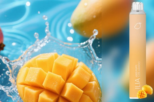 XIAOKE梟客評測好抽嗎—梟客電動車是什麼廠家生產的