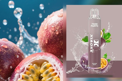 在網購找sp2 鈦系列？最便宜的購買管道大公開