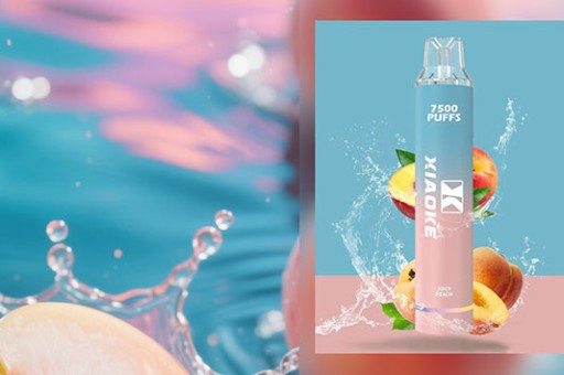 ILIA布紋主機攜帶出境規定：各國海關對電子煙的限制